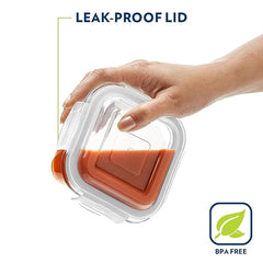 Borosil Klip N Store Lunchbox Set with Bag, 2 Square Borosilicate Glass Containers (320ml Each), Leak-Proof, Microwave & Dishwasher Safe
