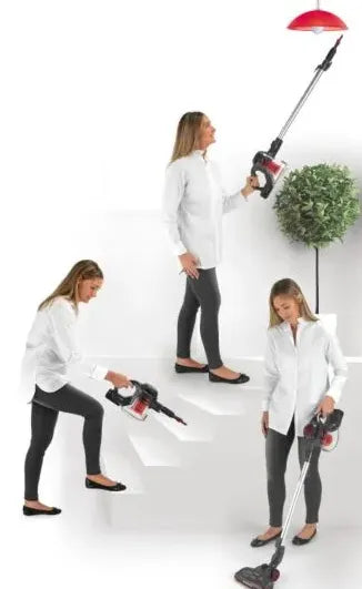 RAF 2-in-1 100W Portable Multifunctional Cordless Handheld Vacuum Cleaner