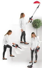 RAF 2-in-1 100W Portable Multifunctional Cordless Handheld Vacuum Cleaner