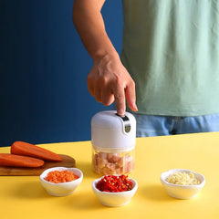 250ml Mini Electric Rechargeable Food Processor for Chopping, Grinding, Mincing & Blending (Assorted