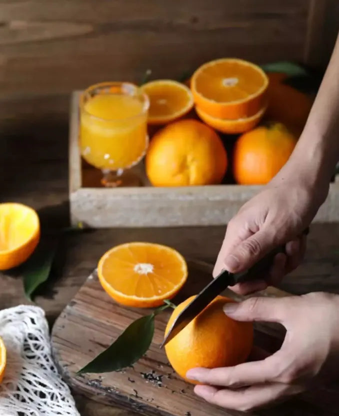 Sonifer 25W Citrus Fruits and Orange Juicer and Squeezer Machine