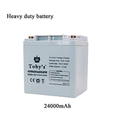 Toby's Portable Rechargeable Battery with Inverter- 24,000 mAh