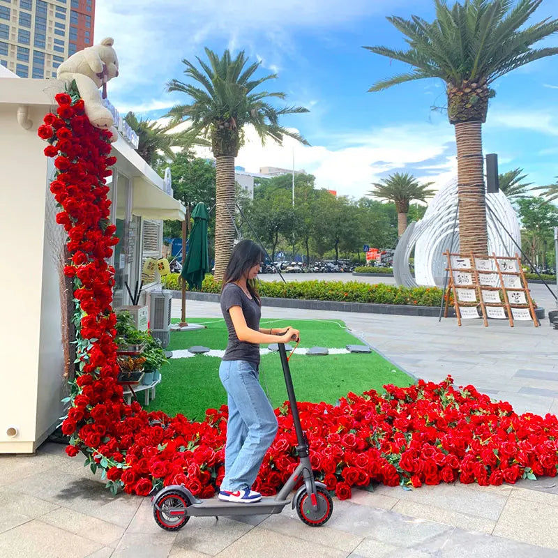 ProRide Sleek Foldable Mini Electric Scooter with Powerful Motor and LED Display - 250W