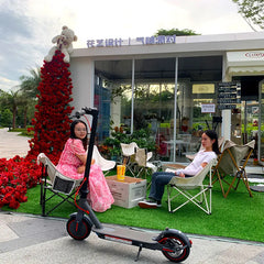 ProRide Sleek Foldable Mini Electric Scooter with Powerful Motor and LED Display - 250W