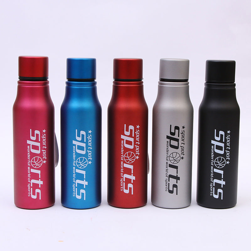 Sports Stainless Steel Insulated Water Bottle with Leak-Proof Cap & Carry Strap – Rust-Proof, Odor-Free, 750ml Capacity for Gym, Office & Outdoor Use