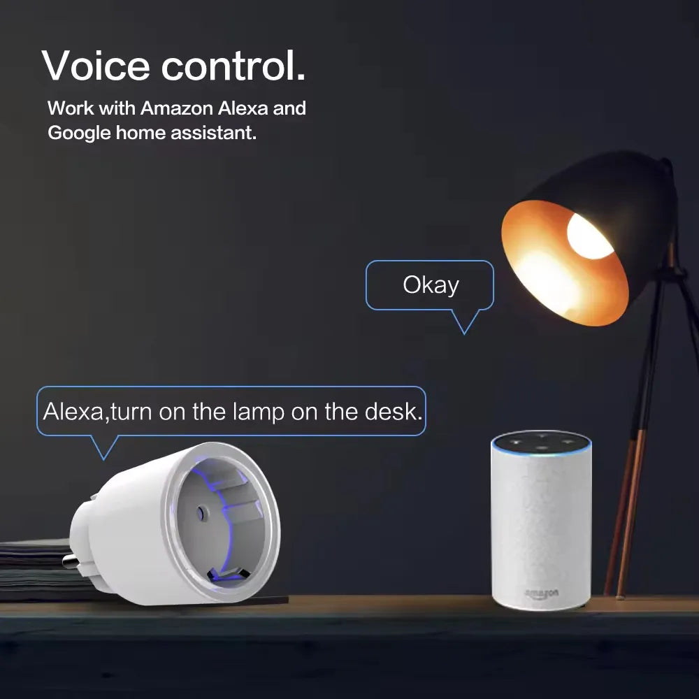 Smart WiFi Plug with Tuya App Remote Control and Alexa & Google Home Voice Control