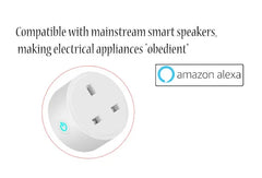 Smart WiFi Plug with Tuya App Remote Control and Alexa & Google Home Voice Control