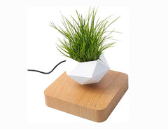 Magnetic Hexagonal Levitating Bonsai Pot for Creative Home and Office Decoration
